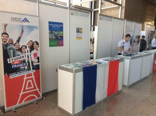 Stand